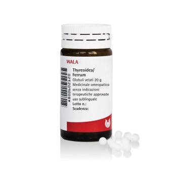 Thyreoidea ferrum 20g gl wala