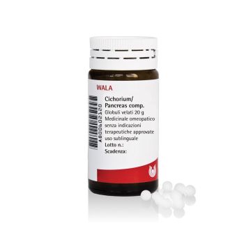 Cichorium pancr 20g gl wala