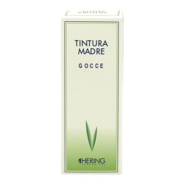 Ruscus aculeatus 125ml tm