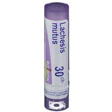 Lachesis mutus 30lm gr Lachesis mutus 30lm gr