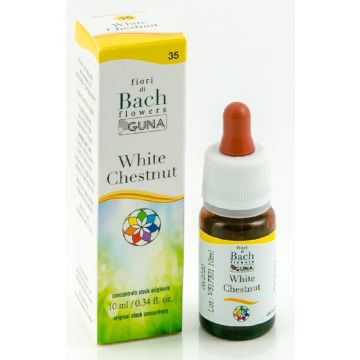 Guna Fiori Di Bach White Chestnut 35 Concentrazione E Pace Gocce 10 ml