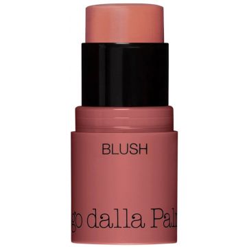 DIEGO DALLA PALMA - All In One Blush - Stick Multiuso N.41 Corallo Perlato