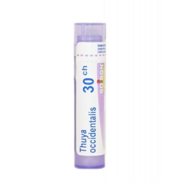 Thuya occid sgl 30ch 4g gr