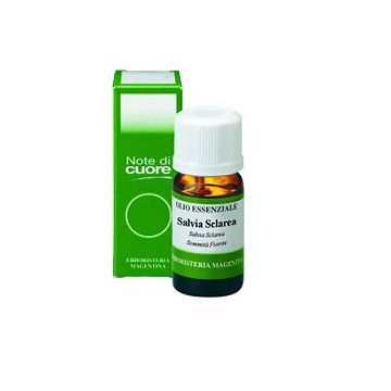 Salvia off.olio ess.10ml   erm