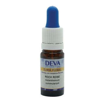 Bach center ess larch 20ml