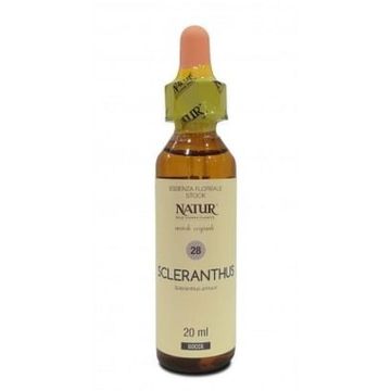 Bach center ess sclerantus20ml Bach center ess sclerantus20ml