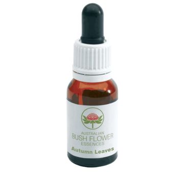 Autumn leaves gocce 15 ml
