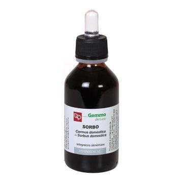 Sorbo 100ml mg