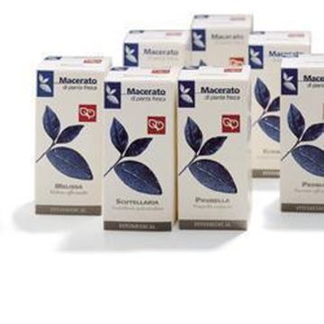 Rosmarino tm 50ml ftm