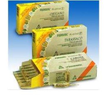 Fisiosol pl ribes ne 20f.