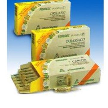 Fisiosol pl timo 20f