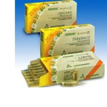 Fisiosol pl mirtillo 20f