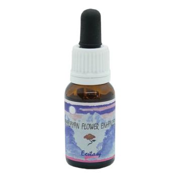 Ecstasy essenza 15 ml 1 pezzo