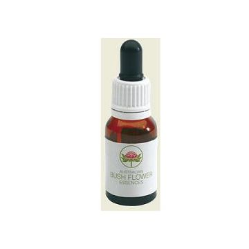 Macrocarpa australian bush 15 ml