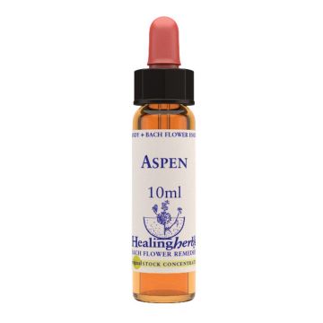 Chicory essenza 30 ml 1 pezzo