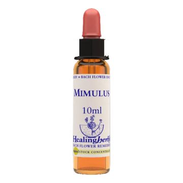 Mimulus essenza 10 ml 1 pezzo