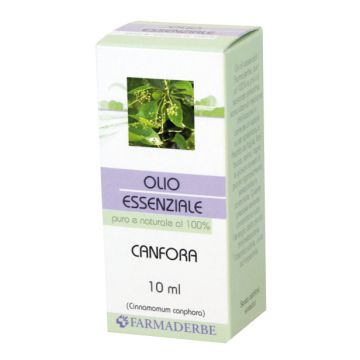Canfora olio essenziale 10 ml