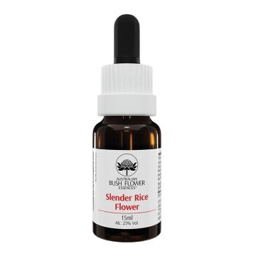 Blue china orchid 15ml aust