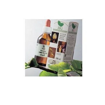 Rosa canina 100ml mg