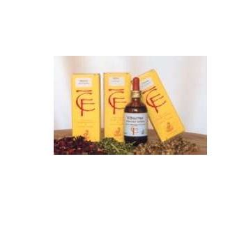 Ribes gemme 100ml mg
