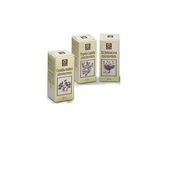 Echinacea estratto analcolico 50 ml articolo 813