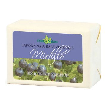 Diletta n sap mirtillo 100g