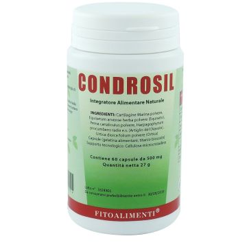 Condrosil 60 capsule