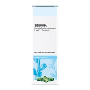 Gemmoderivato sequoia 50 ml