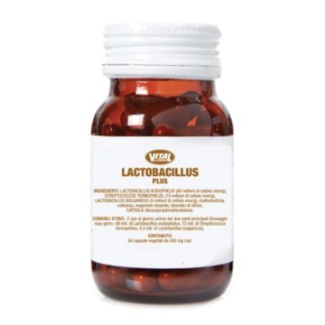 Dr taffi lactobacillus plus 50 capsule