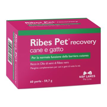 Ribes Pet Recovery Cane E Gatto 60 Perle