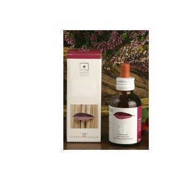 Carpinus betulus 50ml stv