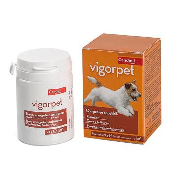 Vigor Pet Cani 20 Compresse
