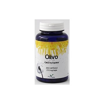 Olivo 60 capsule