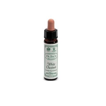 Ainsworths white chestnut 10ml