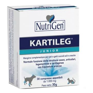 Kartileg Junior 600 Tavolette