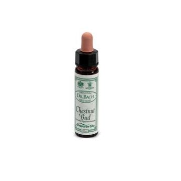 Ainsworths chestnut bud 10ml