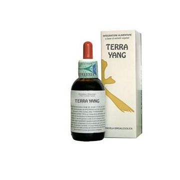 Terra yang 50 ml
