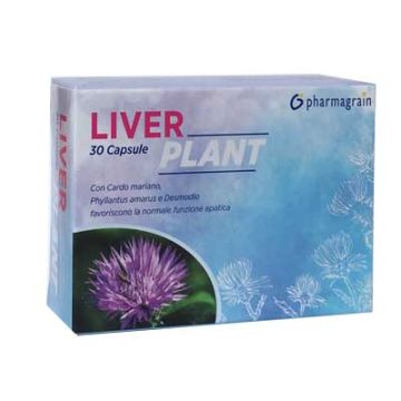 Liver plant 30 capsule