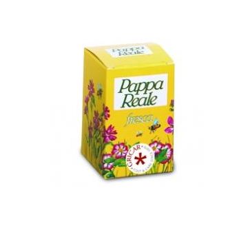 Pappa reale fresca 10 g