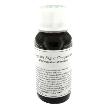 Lvs 43n populus nigra comp.