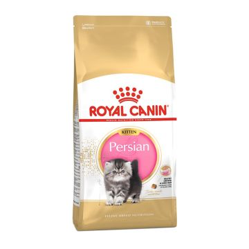 Royal Canin Gatto Fbn Kitten Persiano 400 Gr
