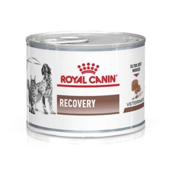 Royal Canin Recovery 195 Gr