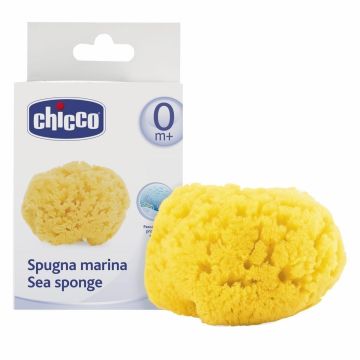 Chicco spugna mare media