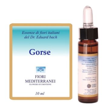 Fiori mediterranei gorse 10 ml