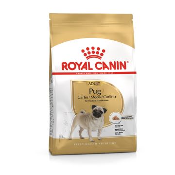 Royal Canin Cane Bhn Carlino Adulto 1,5 Kg