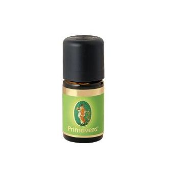 Zenzero olio essenziale bio 5 ml