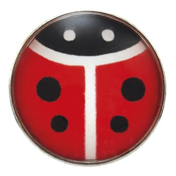 System75 coccinella acciaio