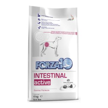 F10 act intest dogalladu pesce dry 4 kg 1 pezzo