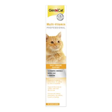 Gimcat pasta multivit professional 50 g Gimcat pasta multivit professional 50 g