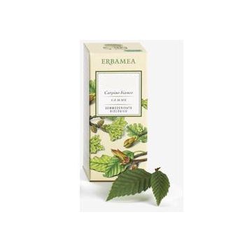 Betula verrucosa linfa gemmoderivato bio 50 ml